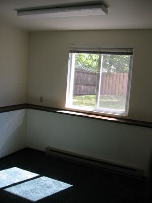 Downstairs Bedroom