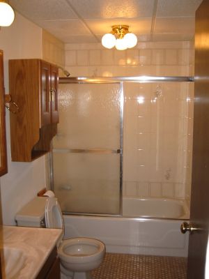 Downstairs Bathroom