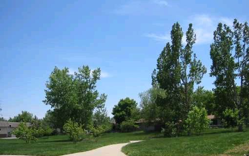 Open Space Trailhead