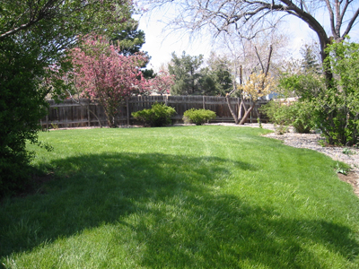 Back Yard at 1193 Garfield Avenue