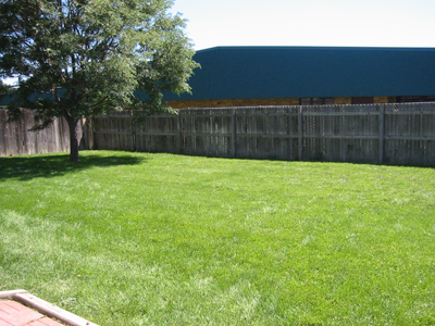 View of back yard from lower deck