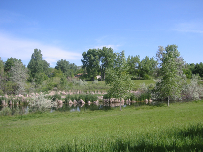 Nearby Pond